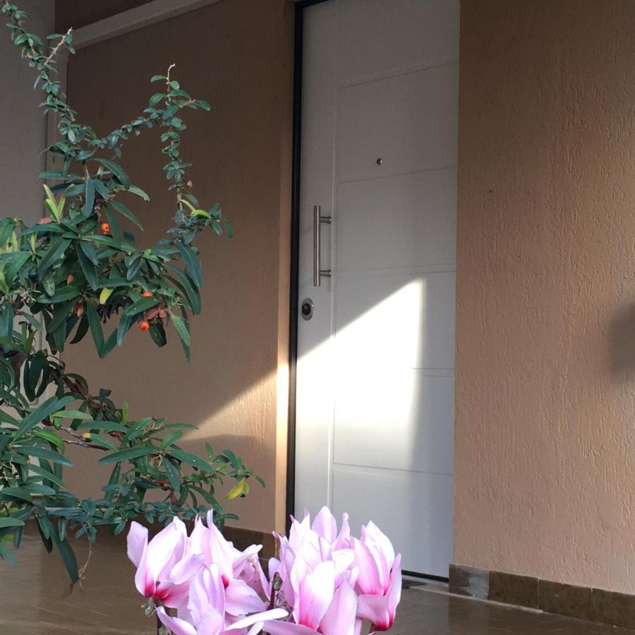 Casa Di Lucia B&B Ladispoli Zewnętrze zdjęcie